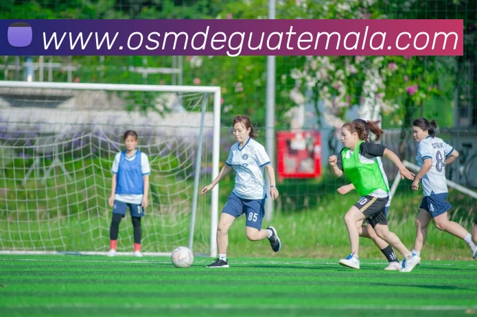 企业概况